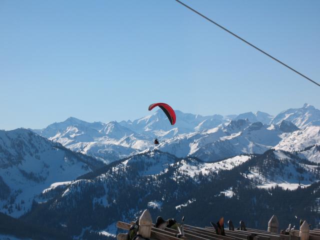 IMG 0755