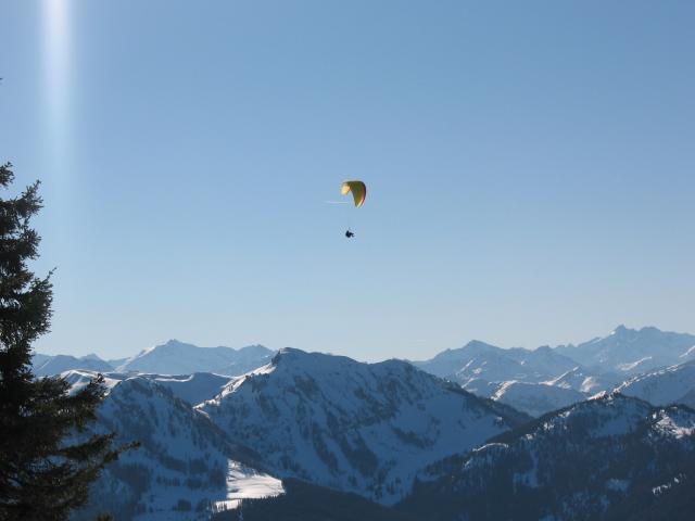 IMG 0778