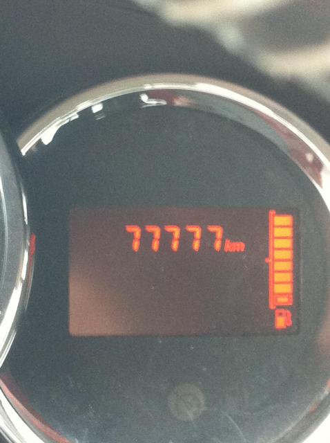 Duster Pięć Siekier