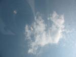 IMG 6089
