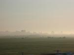 IMG 6147