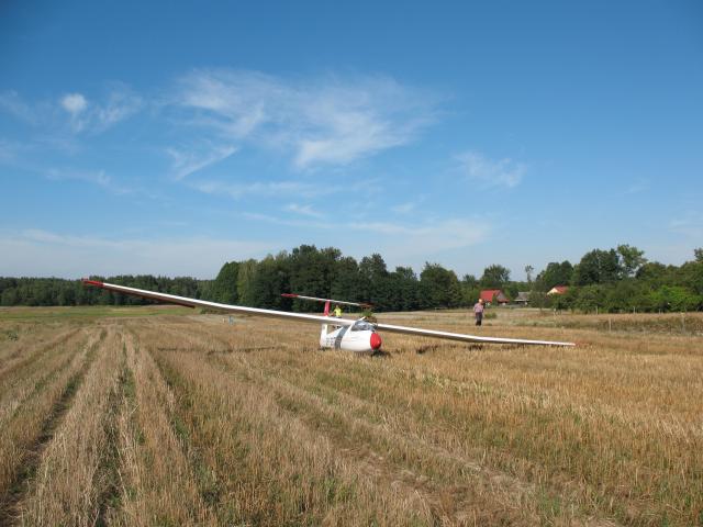 Whisky w Lasach Janowskich KZS Stalowa 2012