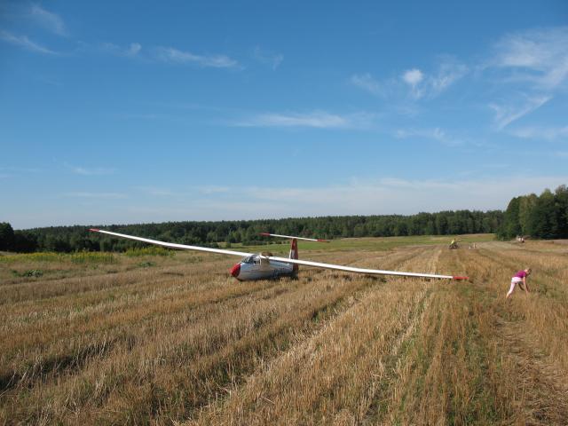 Whisky w Lasach Janowskich KZS Stalowa 2012