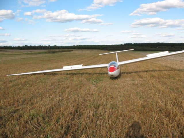 KiloVolt w pierwszym polu Mariana - sierpień 2008 okolice Annopola