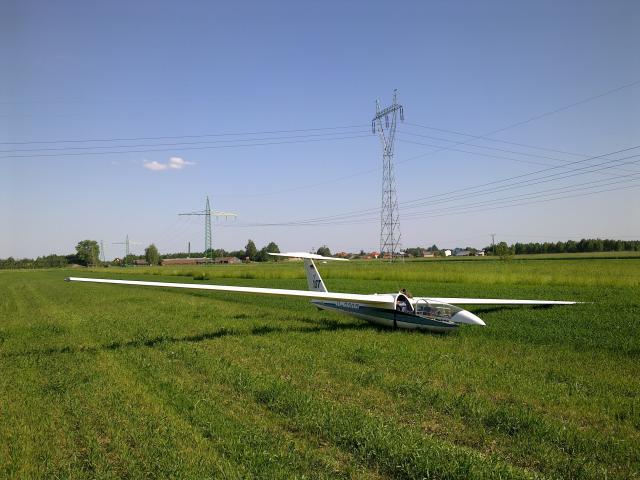 Foka Marian Zaleszany 2014