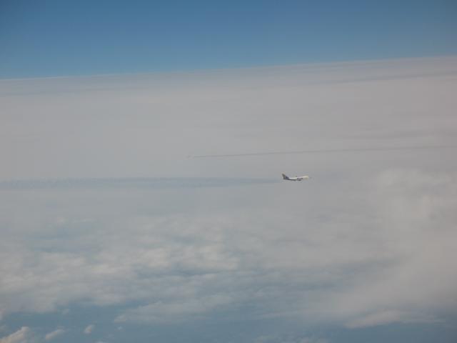 IMG 1718